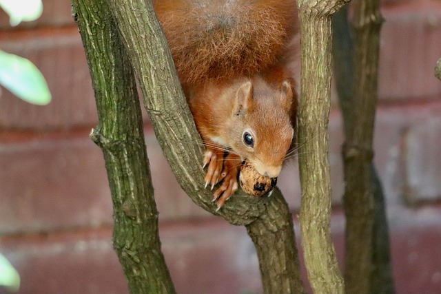 squirrel-hill-plumbing-640x480-40650962.jpeg