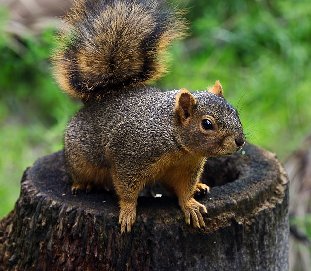 squirrel-hill-plumbing-640x480-74171396.jpeg