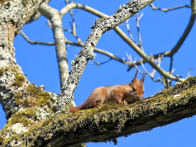 squirrel-hill-plumbing-640x480-80070754.jpeg
