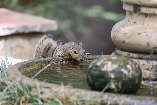squirrel-hill-plumbing-640x480-8760475.jpeg