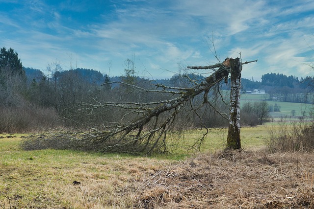 storm-damage-plumbing-640x480-31868631.jpeg