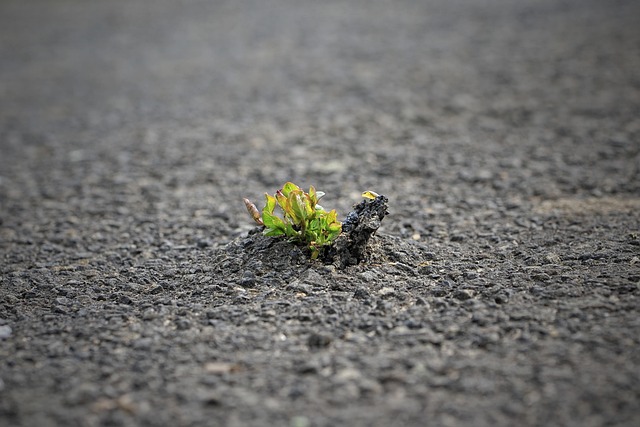 tar and chip driveway contractors near me