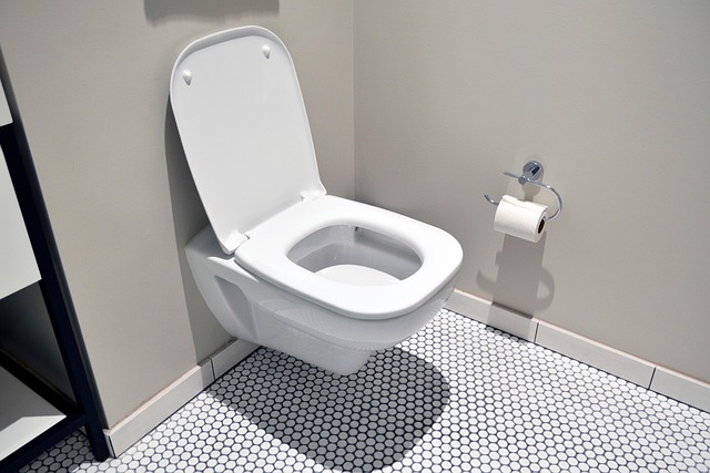 toilet-bowl-repair-640x480-36149231.jpeg
