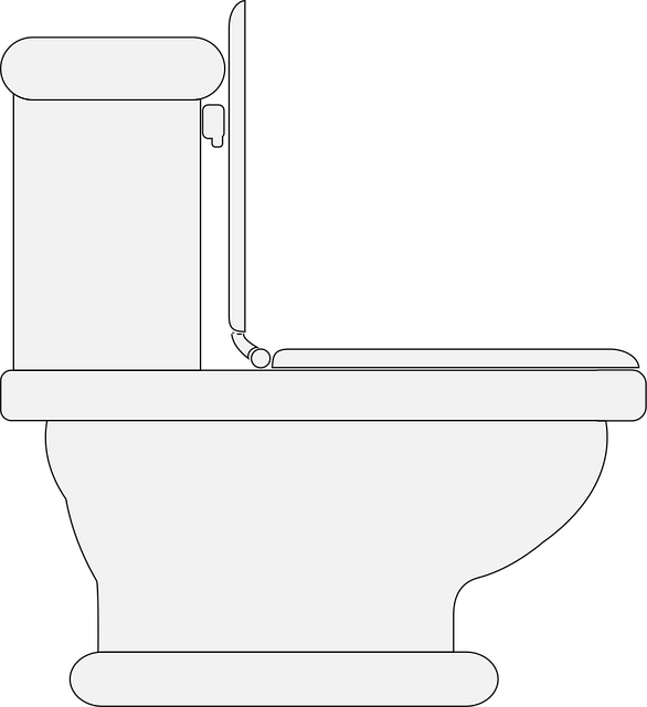 toilet bowl repair