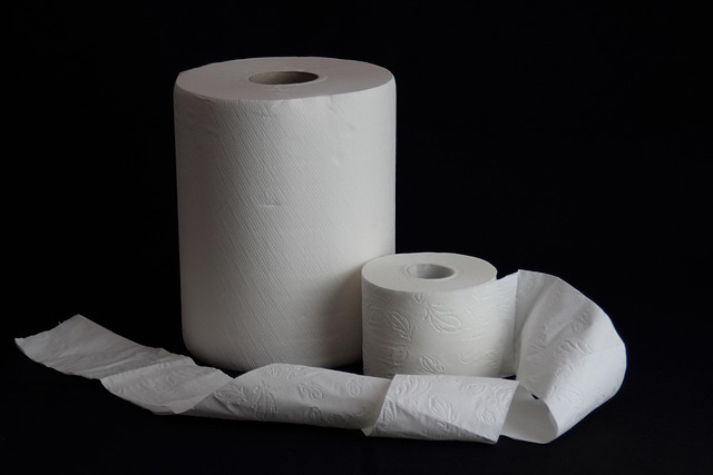 toilet brands