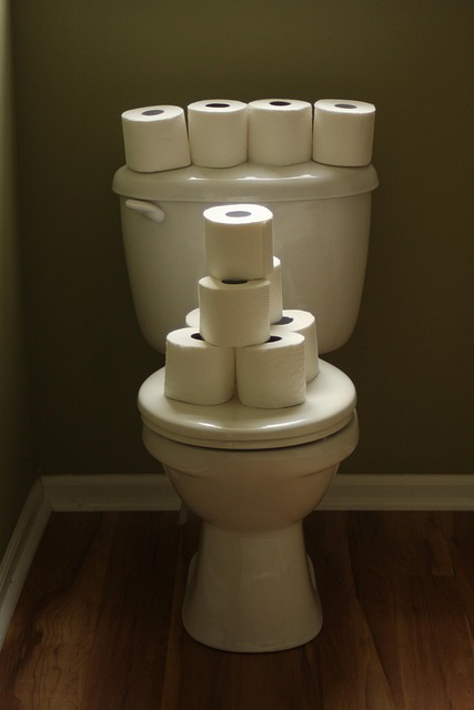 toilet flapper replacement