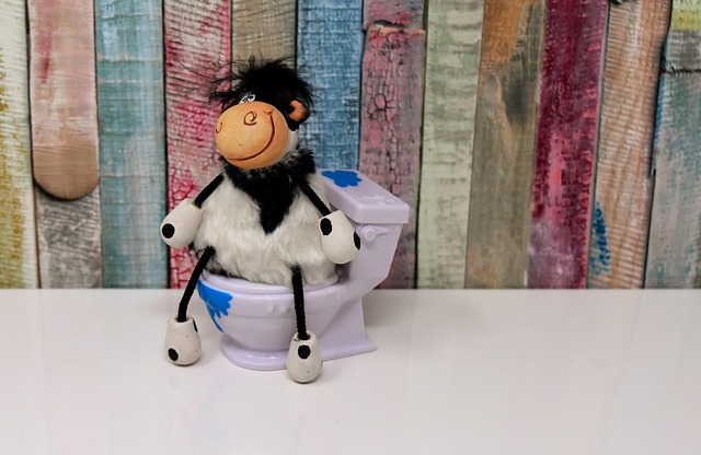 toilet flapper replacement