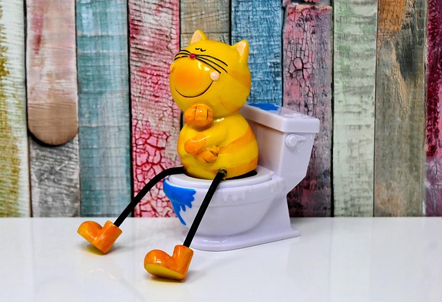 toilet flapper replacement