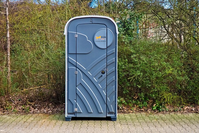 toilet flapper replacement