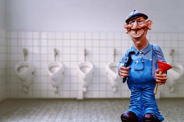 toilet repair