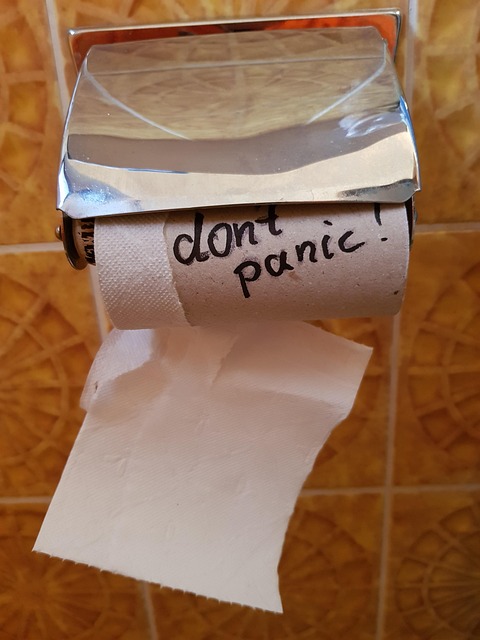 toilet repair