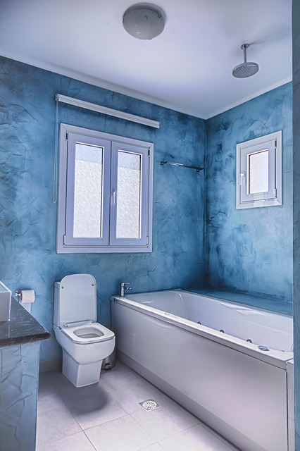 toto toilet