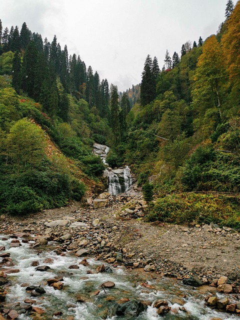 turkey creek plumbing