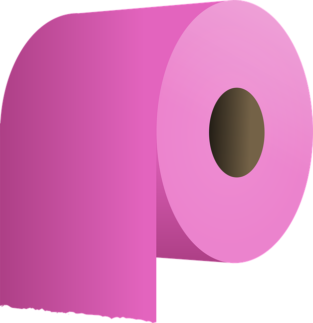 two piece toilet