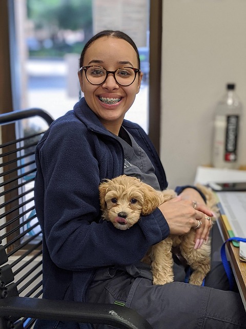 veterinary plumbing