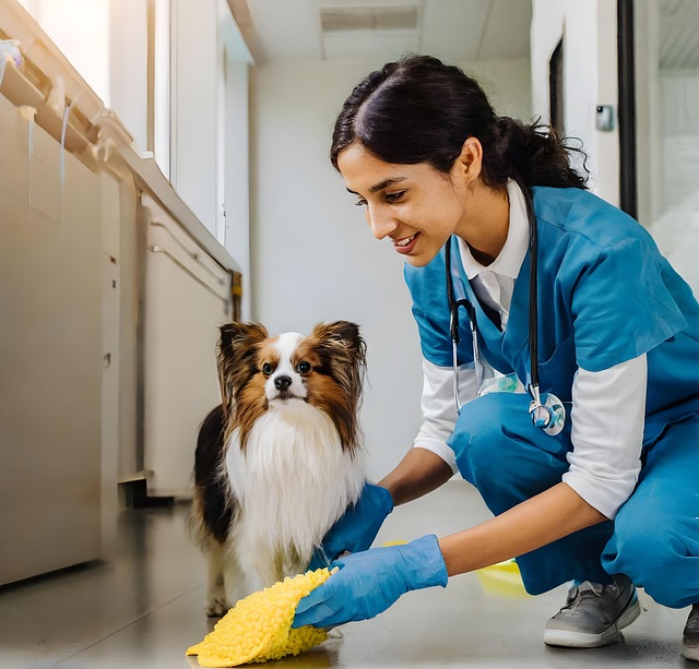 veterinary plumbing