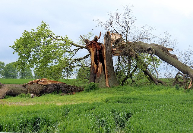 water-damage-prevention-640x480-87539047.jpeg
