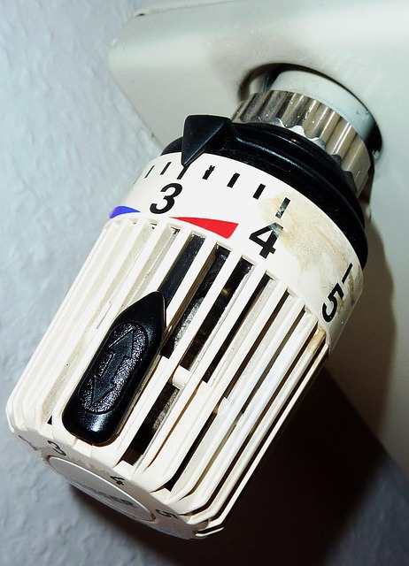 water heater thermostat