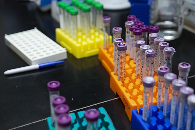 water quality testing