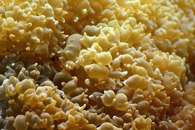 water-softener-salt-640x480-64277504.jpeg