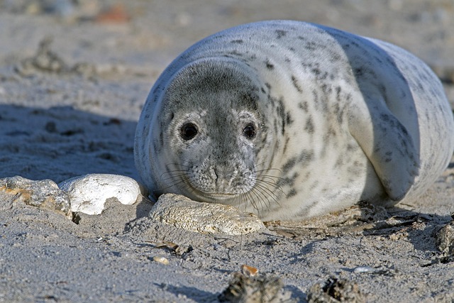 aggregate-seal-contractors-640x480-59706886.jpeg