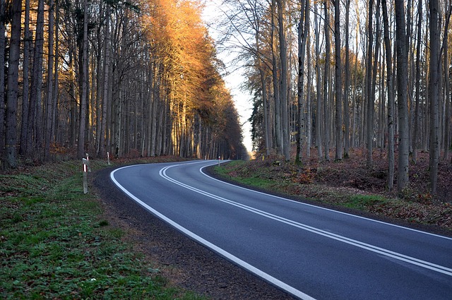 asphalt contractors