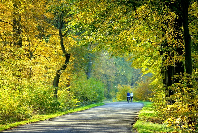 asphalt resurfacing