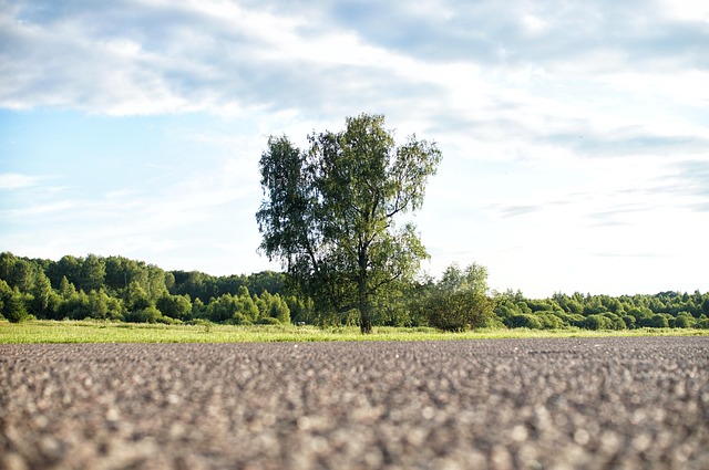 asphalt specialists