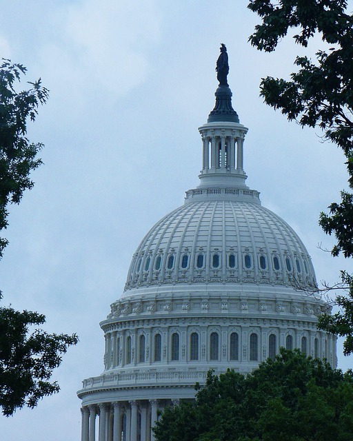capitol hill plumbing