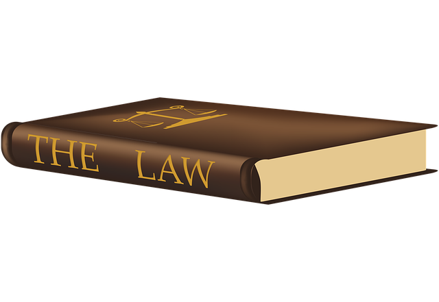 child custody law firm