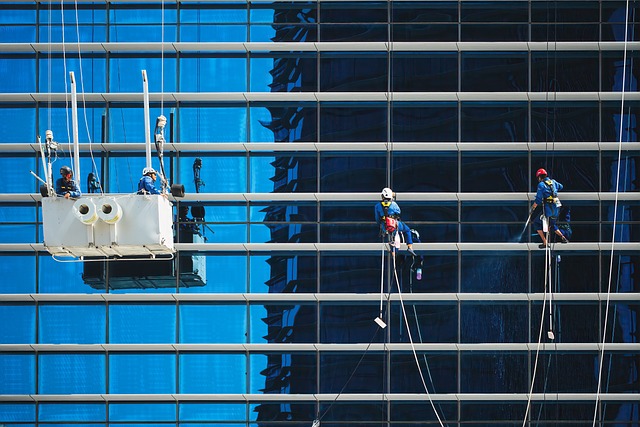 citation building services