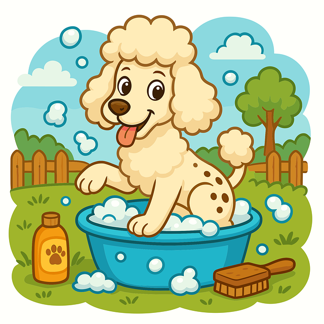 clawfoot-tub-repair-640x480-70625504.png