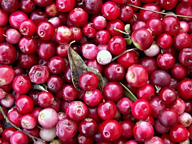 cranberry-plumbing-640x480-35413278.jpeg