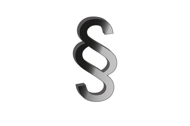 custody legal services