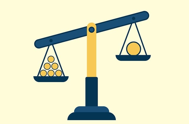 custody legal services