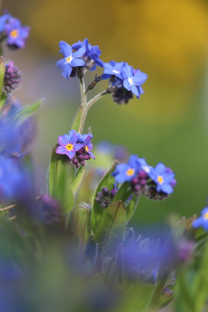 divorce attorneys near me