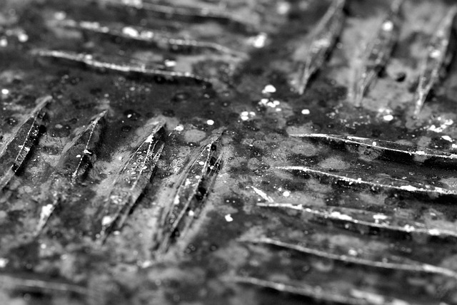drain disinfection