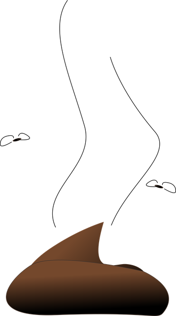 drain odor removal