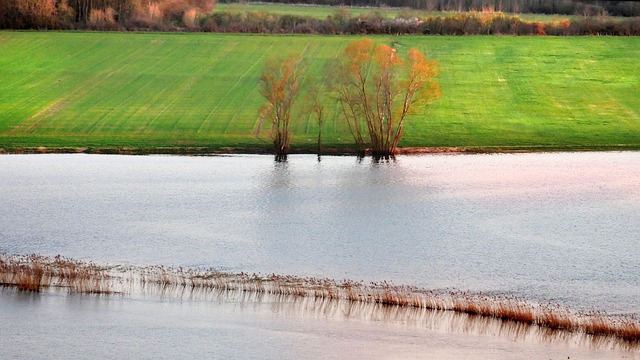 drain overflow