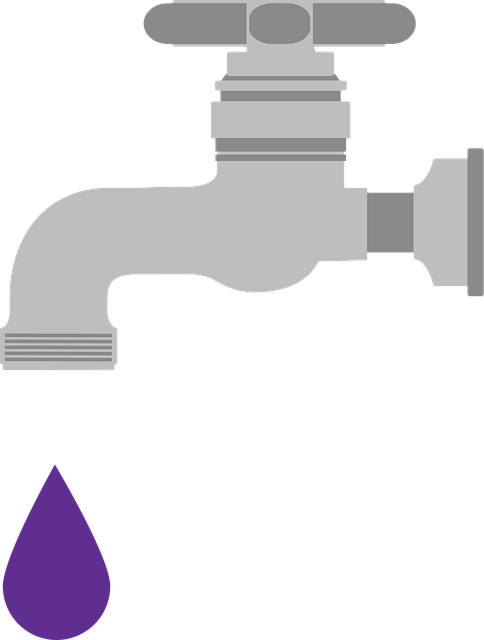 drain rooter