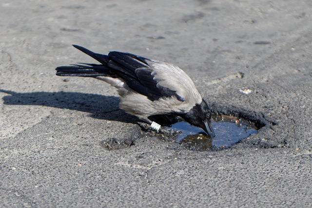 drinking-water-system-640x480-1197161.jpeg