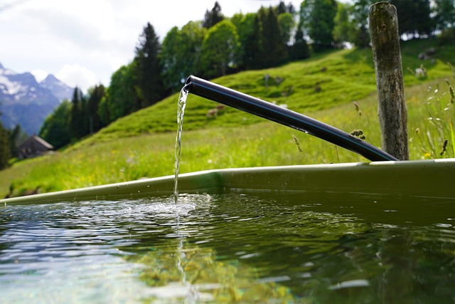 drinking water system