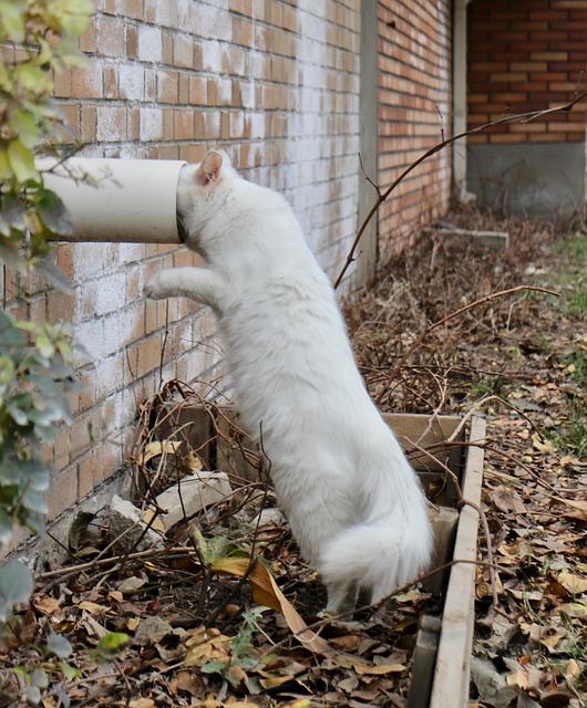 drinking-water-system-640x480-50736273.jpeg