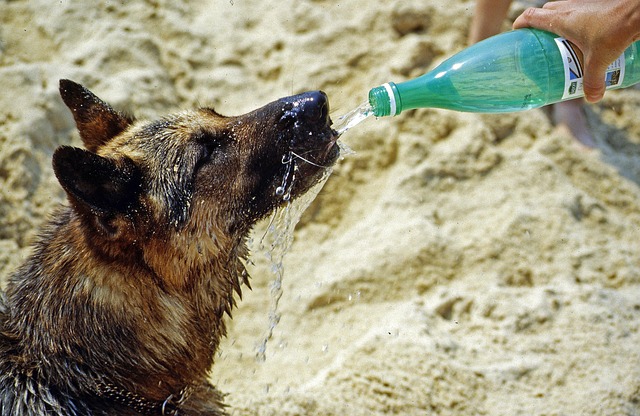 drinking water system