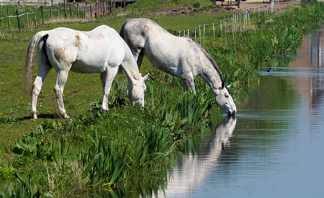 drinking-water-system-640x480-94417210.jpeg
