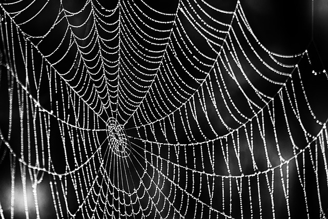 electrical contractor web design