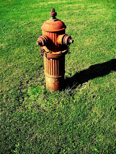 emergency water shutoff
