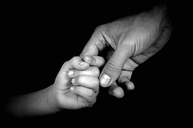 family attorney services