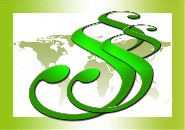 family law lawyer