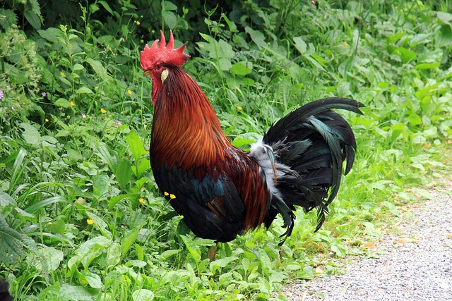 faucet-repair-640x480-49512265.jpeg